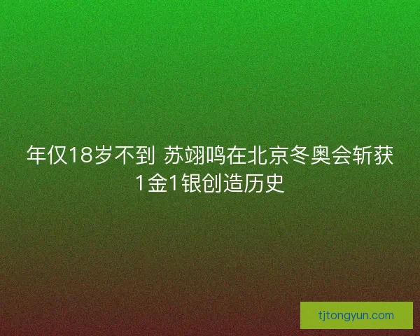 年仅18岁不到 苏翊鸣在北京冬奥会斩获1金1银创造历史